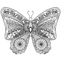 Бабочка с узором дзен