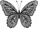Бабочка , покрытая медитативными узорами 