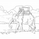 Слон и наездник