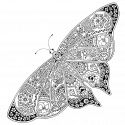 Бабочка с орнаментом на крыльях