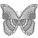 Бабочка с восточным узором