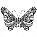 Бабочка с медитативным узором на крыльях.